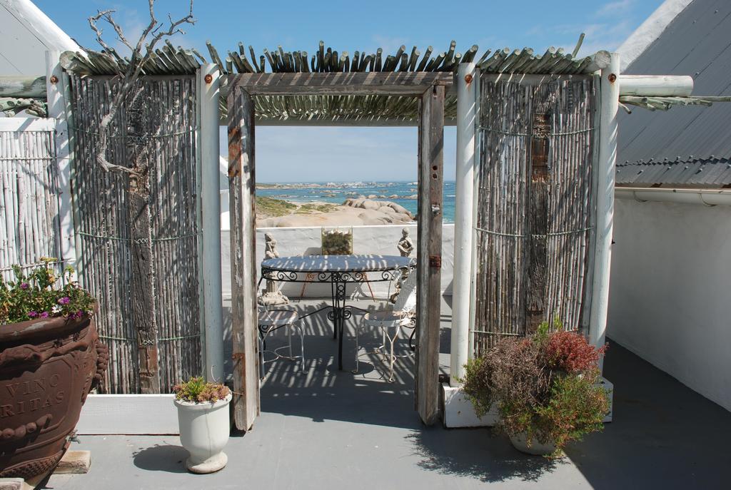 The Oystercatchers Haven At Paternoster Rom bilde